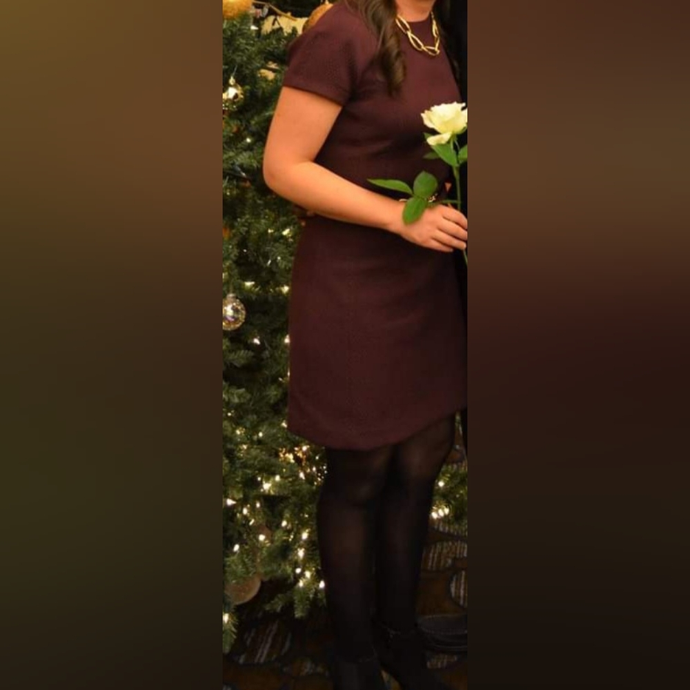 Banana republic dress